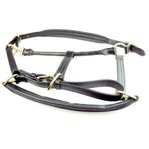 Ascot Padded Leather Head Collar