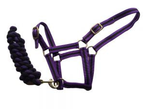 Harlequin Headcollar and Leadrope Set
