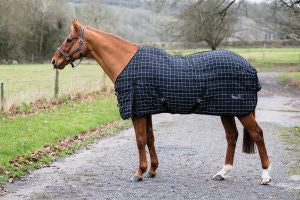 Rhinegold ‘Vegas’ Stable Quilted Rug